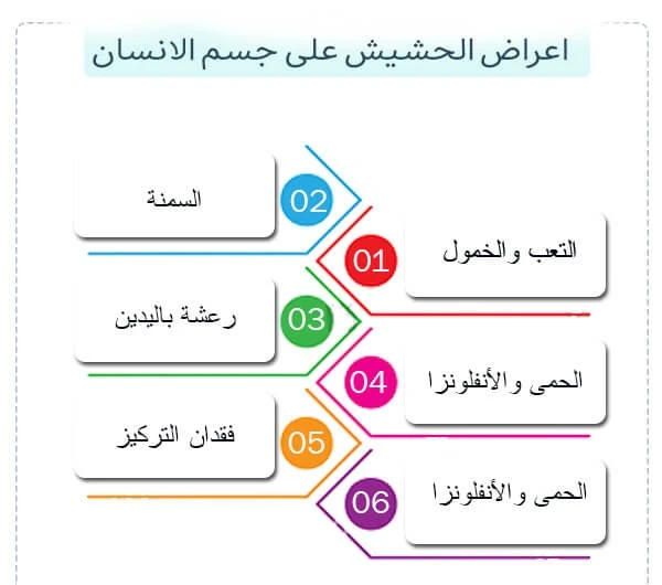 ماذا يكره متعاطي الحشيش